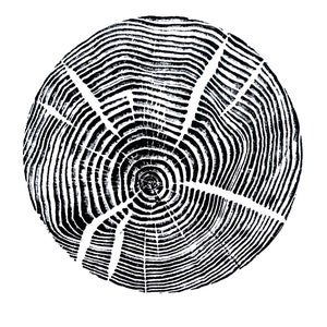Ash, Handmade, Tree Ring Print, Wood Block Print, in High Quality Textured Black or Brown Ink