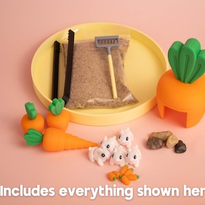 Bunny Zen Garden - Fidget Desk Sandbox - Cubicle Decor - Office Desk ...