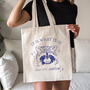 Bolsa de mano para autismo, meme de mapache tonto, bolsa de mano divertida para la salud mental, Weirdcore, es lo que es, regalo para autistas, dibujo animado vintage, Trash Panda