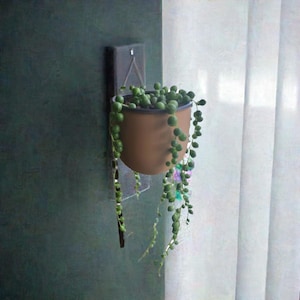 Modern Wall Planter | Removable Hanging Pot | Sleek Indoor Plant Holder | Easy Maintenance Garden Decor