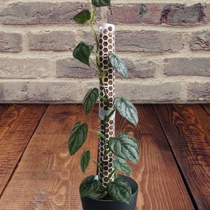 Modular Plant Support Moss Pole System | Expandable Climbing Plant Stake | Indoor Plant Trellis Kit | Monstera Support | Growth Guide