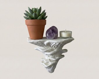 Oyster Mushroom Wall Shelf | Coral-Inspired Floating Shelf in Multiple Sizes | Sculptural Fungi Wall Art & Multi-Size Cluster Installation