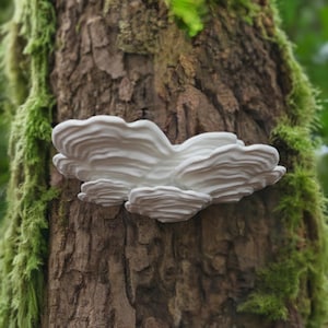 Mushroom Floating Shelf Stereum Ostrea Wall Shelf | Cottagecore Plant Stand | Whimsical Fungi Display | Nature Home Decor Woodland Wall Art