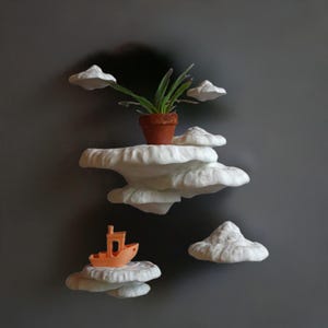 Mushroom Shelf &quot;Formitopsis Pinicula&quot; | 3D Printed Fungi Wall Decor | Cottagecore Floating Shelf | Plant Display | Mushroom Home Decor |