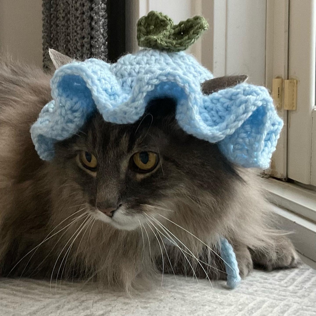 Crochet Flower Hat for your Pet(s) Pattern - Sir Purl Grey