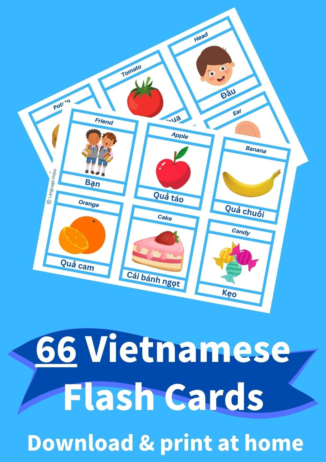 Printable VIETNAMESE Flashcards [PDF] - 66 First Words for Beginners, Toddlers, and Adults - Learn Vietnamese Vocabulary + with Pictures