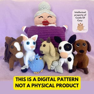 CROCHET PATTERN - Old Lady Who Swallowed a Fly