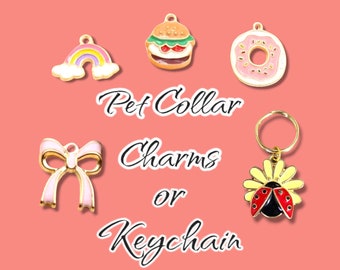 Fun and Vibrant Add On Charms / Cat Collar Charm Dog Collar Charm Tag Accessory /  Add on Keychain Charm / Backpack Charm / Luggage Charm