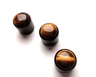 Potentiometer Knob Honey Amber , Electric Guitar And Bass, Rare Custom Shop Accessory, Vintage Build Kit,