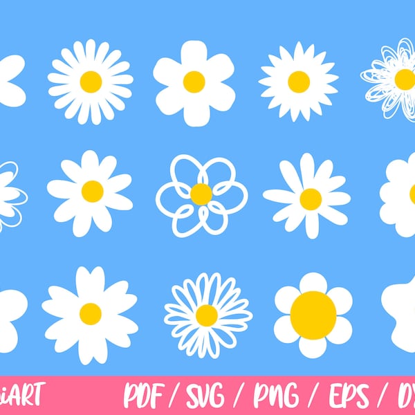 Daisy Flower Svg - Etsy