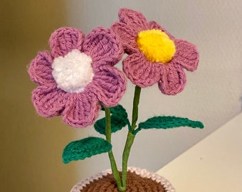 Einfache Mini Blume gehäkelt auf einem Topf 17 cm groß