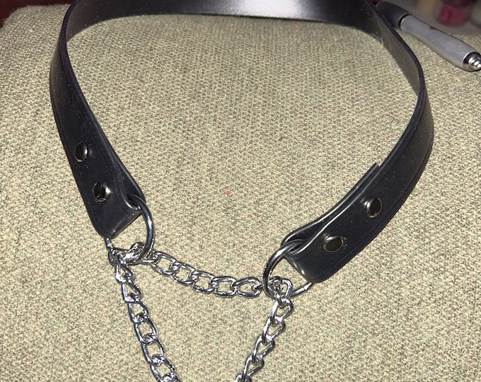 Biothane Martingale Collars - Assorted Colors