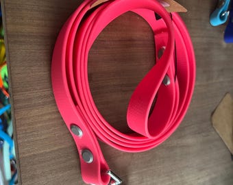 Biothane Snap End Lead