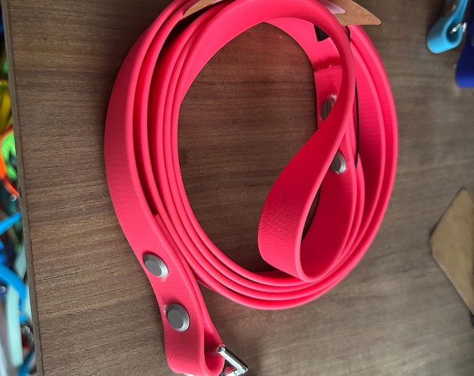 Biothane Snap End Lead