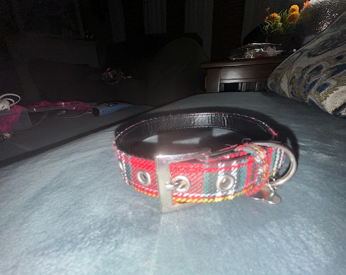 Tartan Plaid Buckle Dog Collar