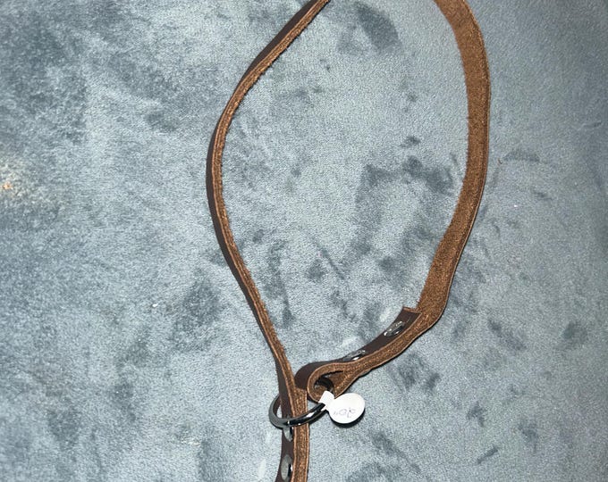 Leather Choke/Slip Collar