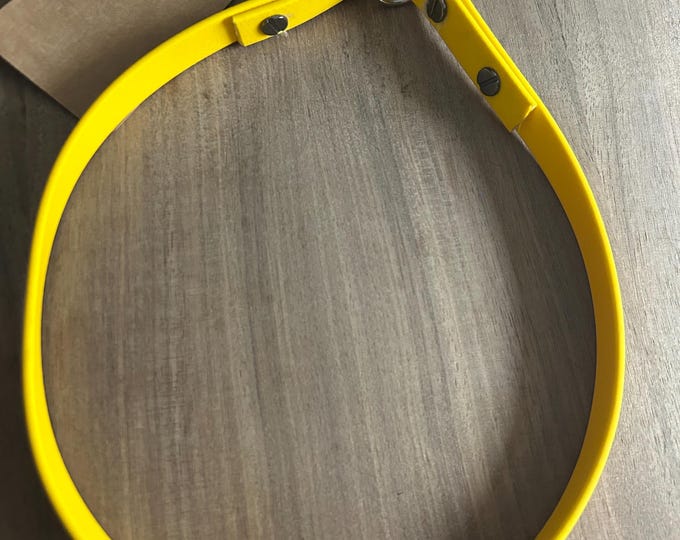 1/2" wide Biothane Slip/Choke Collar