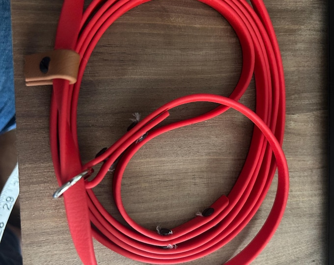 3/8" Biothane Slip Lead
