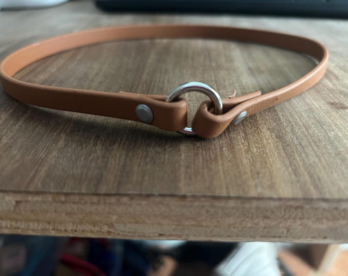 Biothane Tag Collar 1/2"