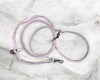 Biothane Hands Free Dog Leash