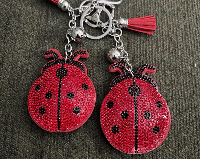 Crystal Ladybug Keychain