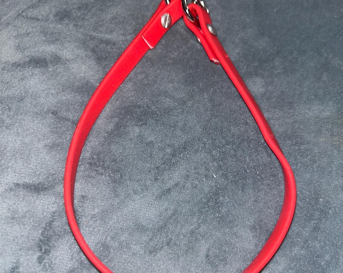 3/8" wide Biothane Slip/Choke Collar
