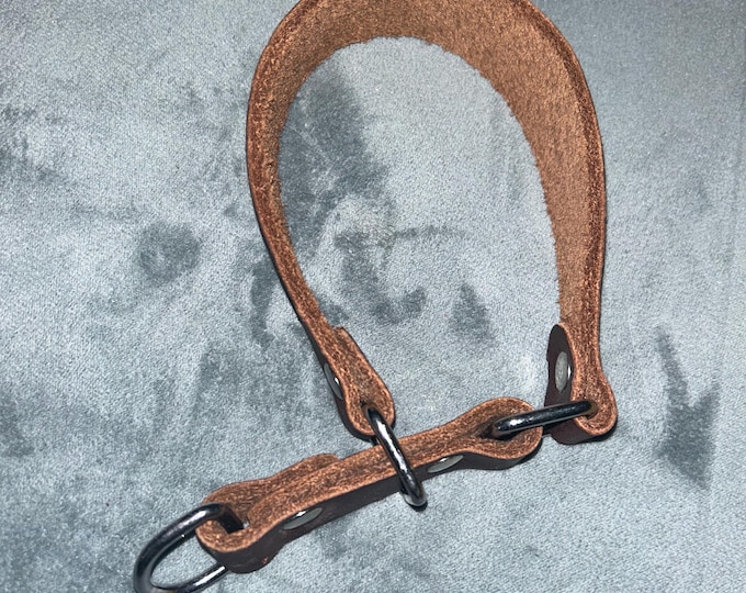 Leather Hound Martingale Collar