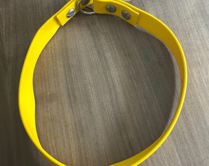 3/4" wide Biothane Slip/Choke Collar