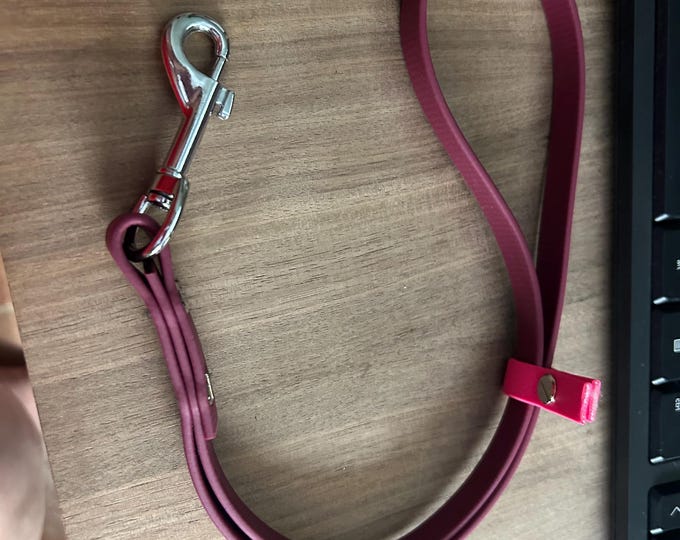 Biothane Grooming Noose