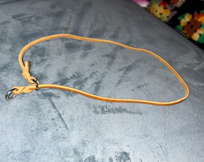 Thin Leather Dog Show Collar