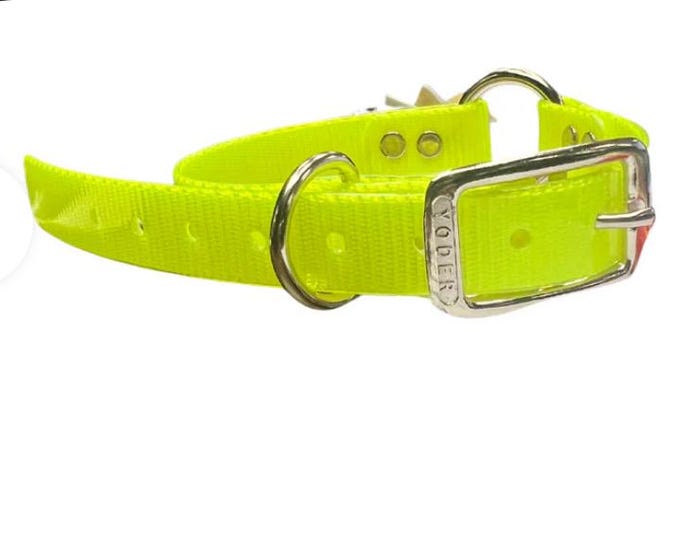 Hunting Dog Collar 1" Biothane/Waterproof Webbing