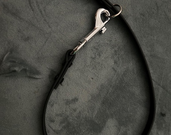 1" Biothane/Waterproof Webbing Snap Choke Dog Collar