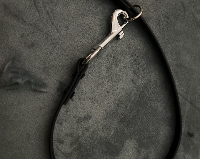 Snap Choke Dog Collar 1" Biothane/Waterproof Webbing