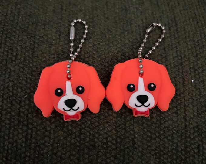 Beagle Key Cover