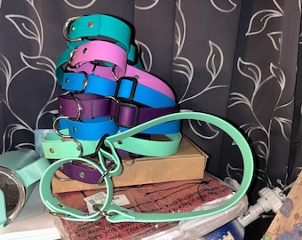 1" Biothane/Waterproof Webbing Martingale Dog Collar