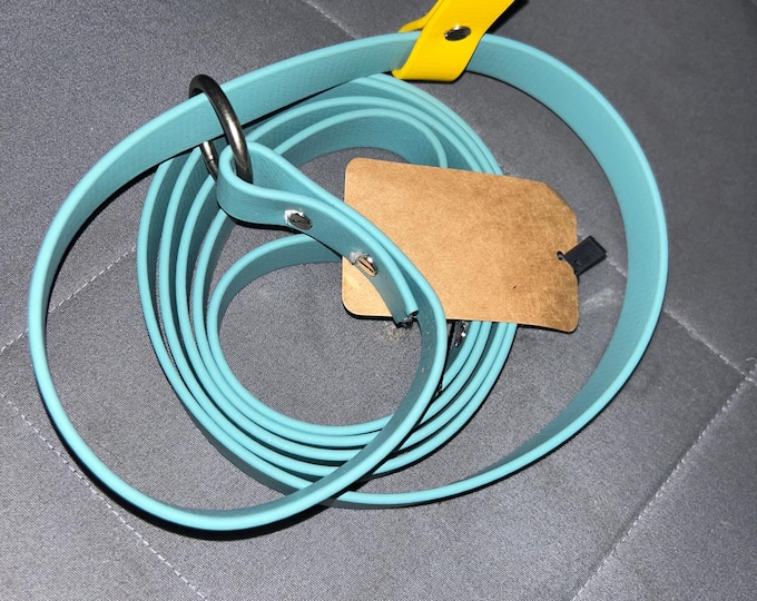 3/4" Biothane Slip Lead