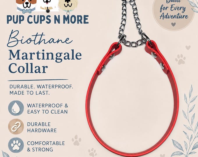Biothane Martingale Collars - Assorted Colors (B2)