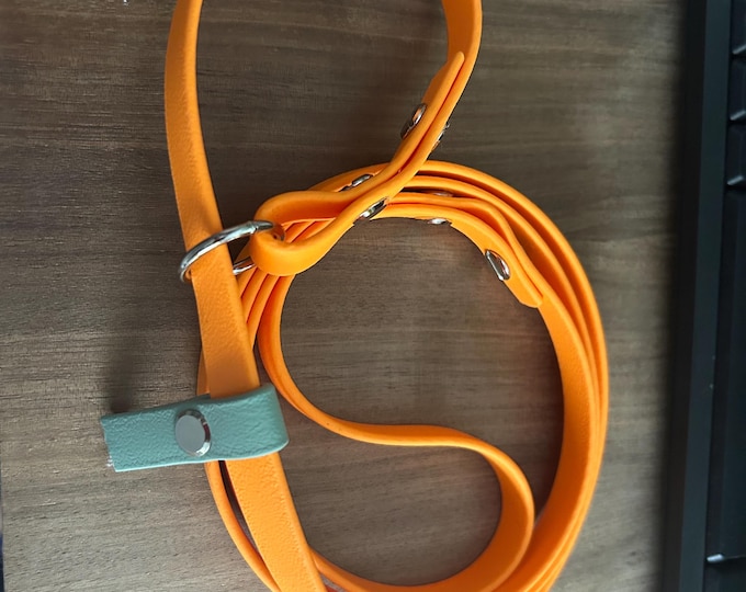 1/2" Biothane Slip Lead