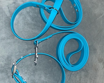 1" Biothane/Waterproof Webbing Slip Lead Dog Lead