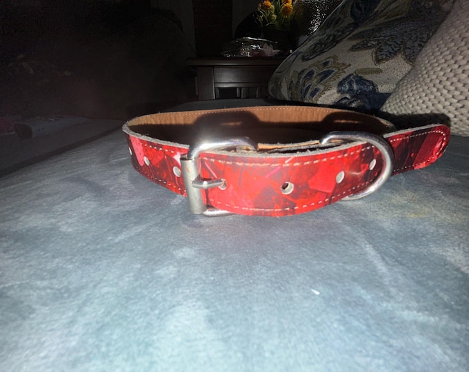 Leatherette Dog Collar