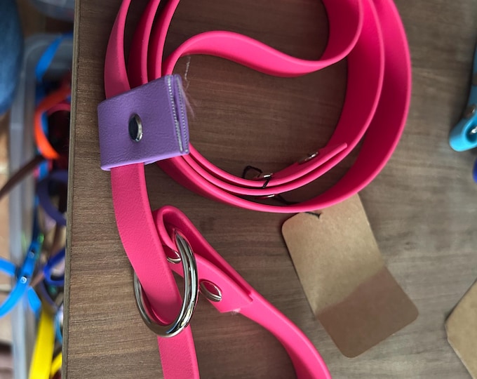 1" Biothane Slip Lead