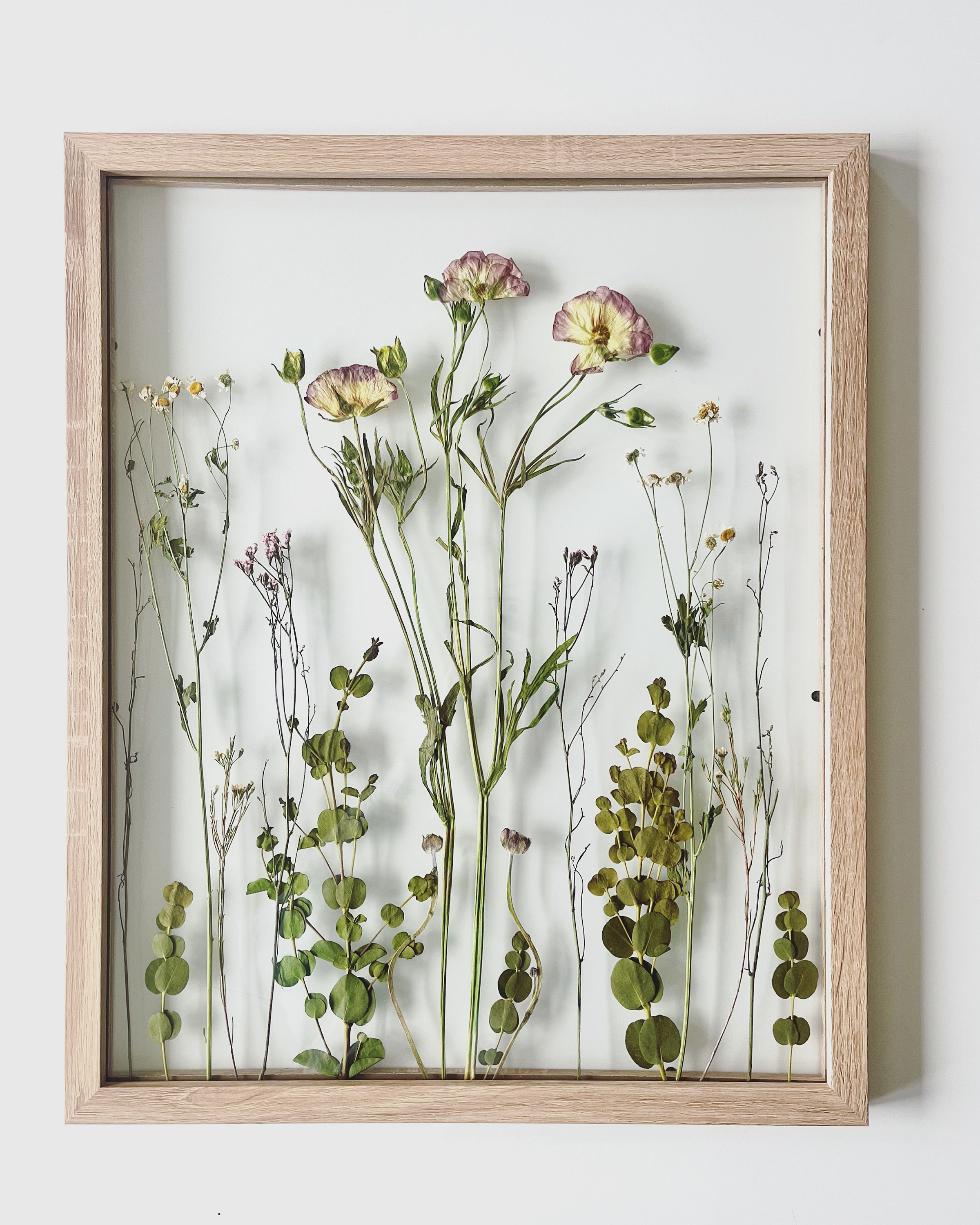 Set of 2 framed pressed flowers, Glass floating frame, Flora - Inspire  Uplift