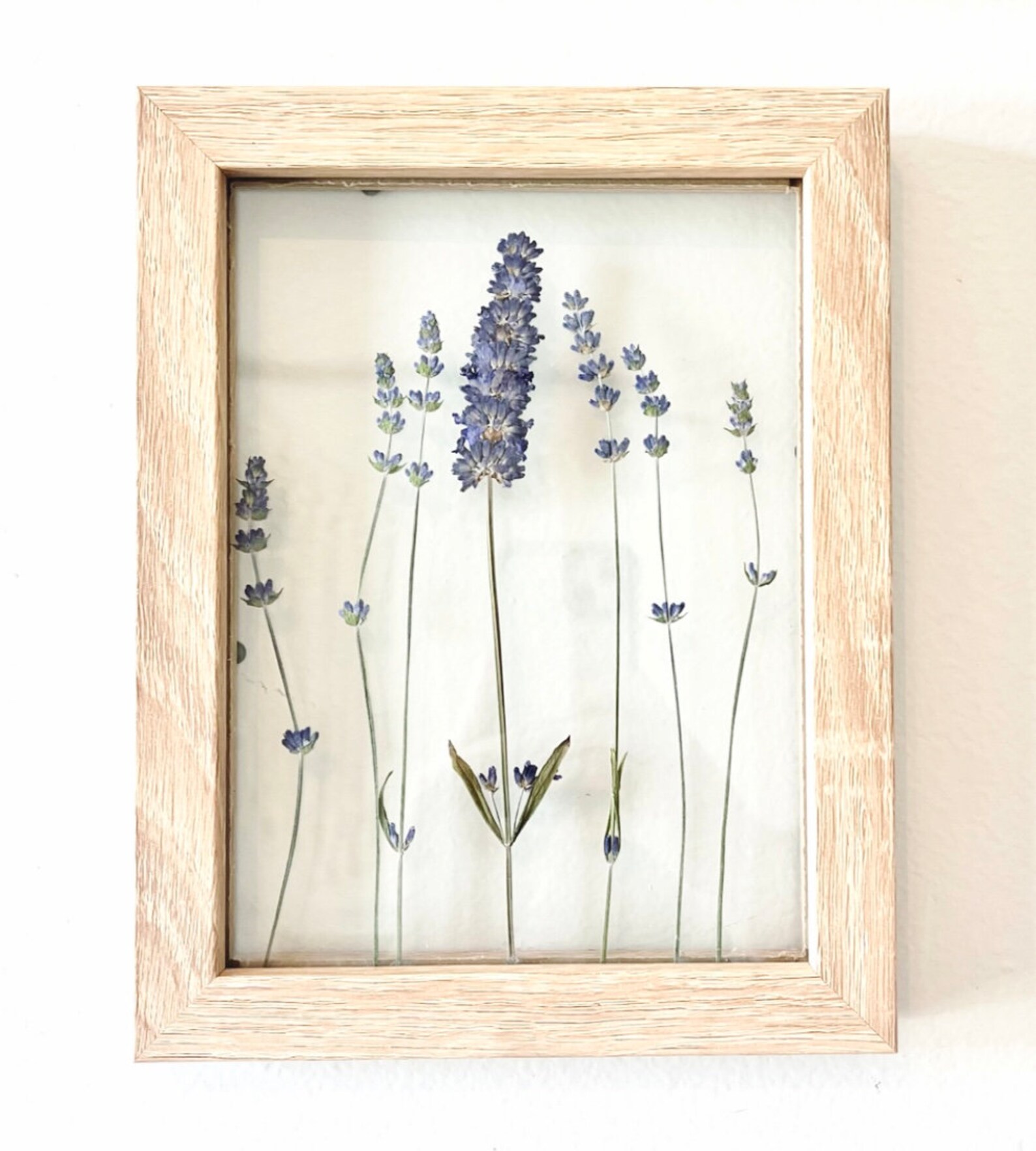 CUSTOM Pressed Flowers in Floating Glass Frame Wood Frame see