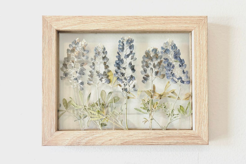 CUSTOM Pressed Flowers in Floating Glass Frame Wood Frame Etsy