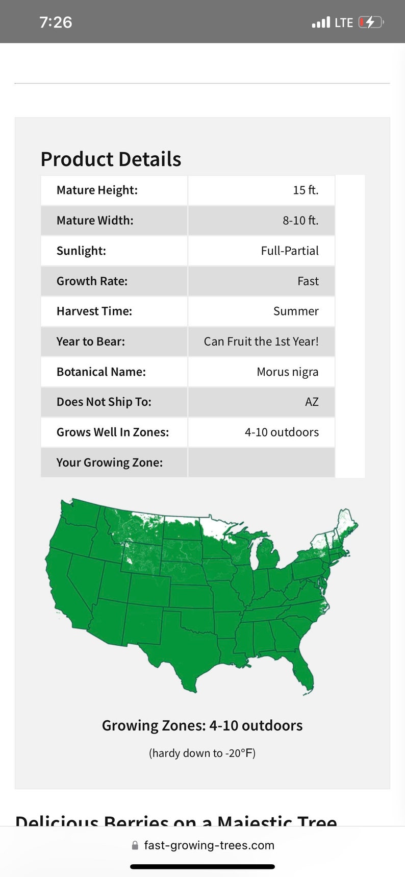 Mulberry Tree Established One Gallon Fruit Tree Fruit Etsy