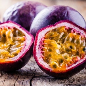 Purple Passion Fruit “Purple Possum“ ( FREE SHIPPING) established vines