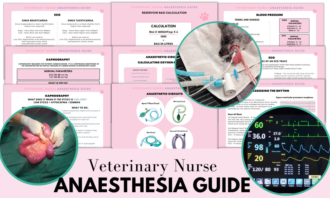 Anaesthesia Guide for Veterinary Nurses Etsy