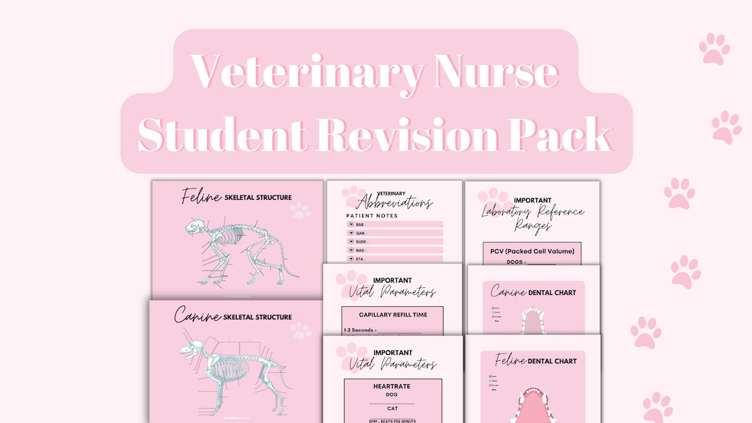 Veterinary Nursing Student Revision Quiz Pack DIGITAL DOWNLOAD 8 Page