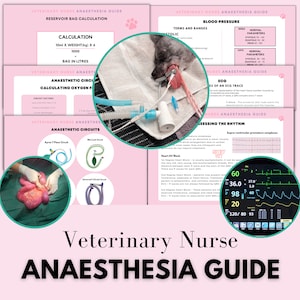 Anästhesie-Handbuch für Veterinärschwestern