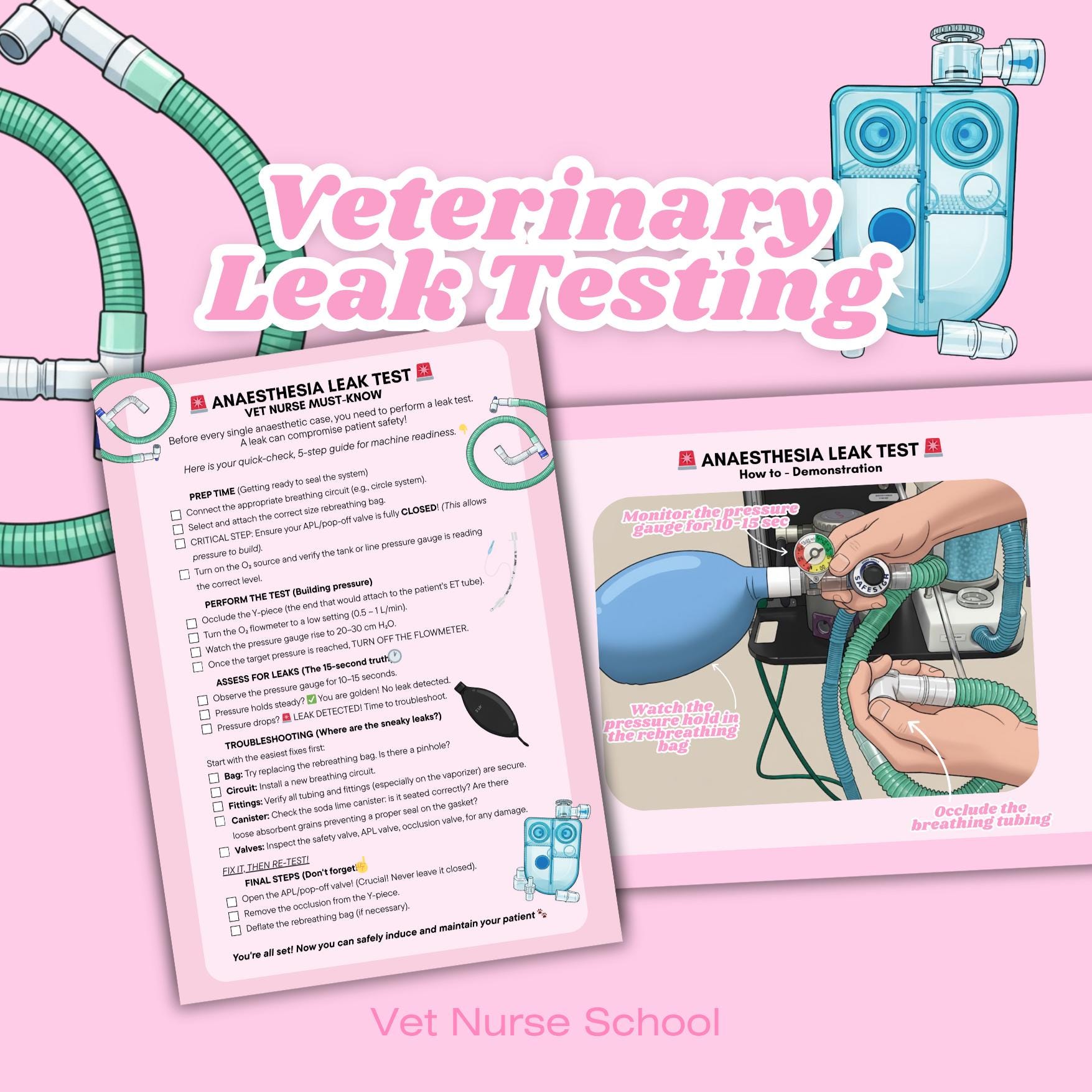 How to Perform a Leak Test for Veterinary Nurses, Vets, Vet Techs -  Anaesthetic Machine